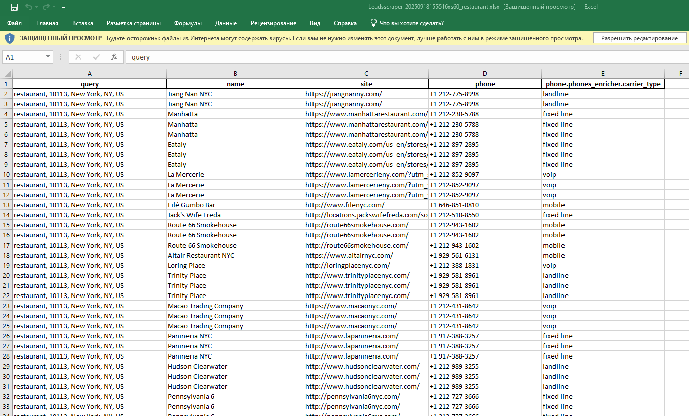 Google Maps scraped leads data in Excel